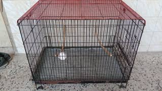 ROW PARROT GRAY PARROT AND BIG BIRDS FOLDING CAGE