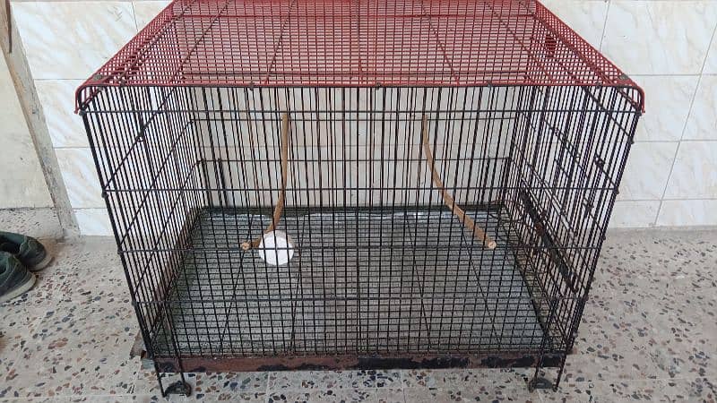 ROW PARROT GRAY PARROT AND BIG BIRDS FOLDING CAGE 0