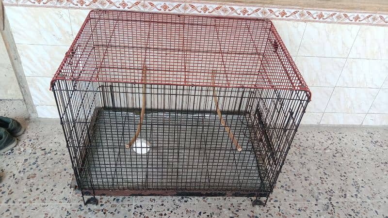 ROW PARROT GRAY PARROT AND BIG BIRDS FOLDING CAGE 2