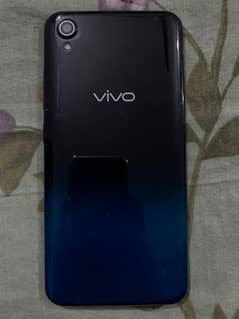 vivo