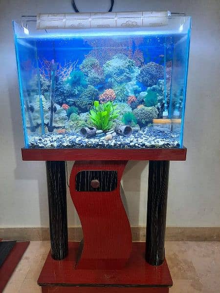 2ft Fish Aquarium 0