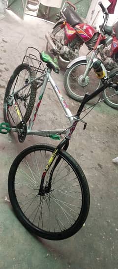 Phoenix  20 size new cycle