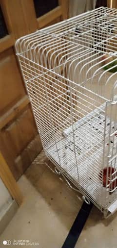 raw parrot cage for sale