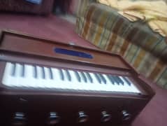 Besd quality harmonium sapical indian reed