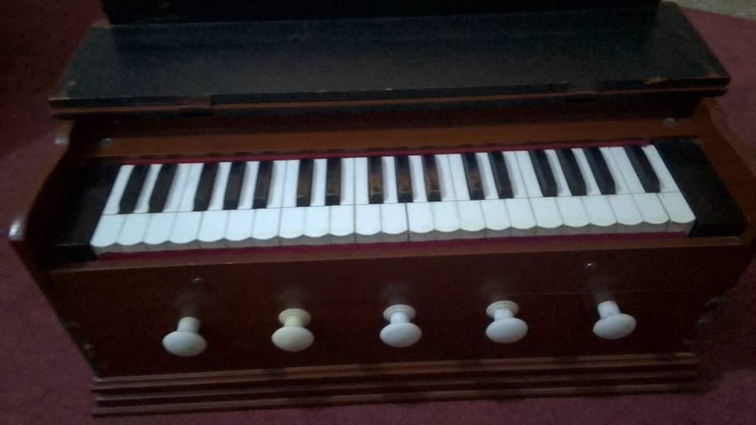 Best quality ns anand reeds harmonium 2