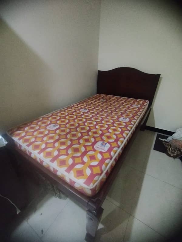 Single bed in Solid Wood 3