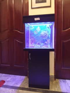 Fish Aquarium