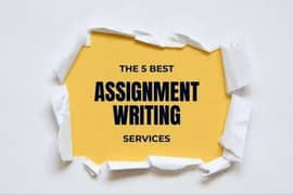 assignment writing ,typing service