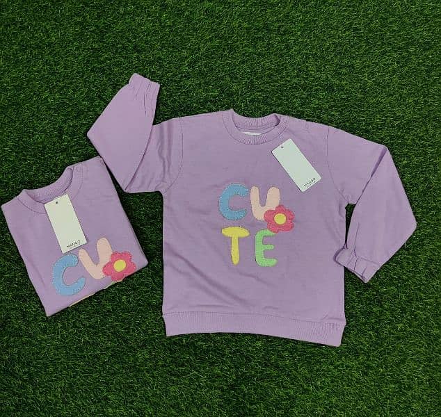 Export Quality Kids Sweatshirts / Sweat shirts 7