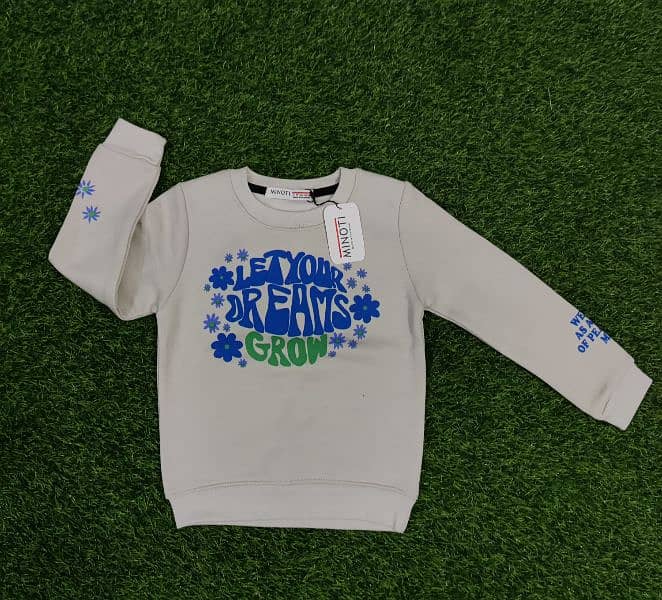 Export Quality Kids Sweatshirts / Sweat shirts 9