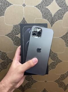 iphone 12 pro max pta approved