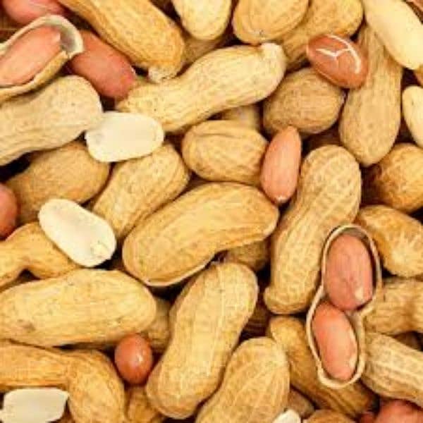 Peanuts MONGPHALI 0