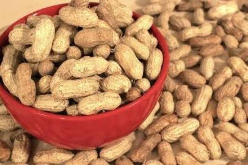 Peanuts MONGPHALI 1