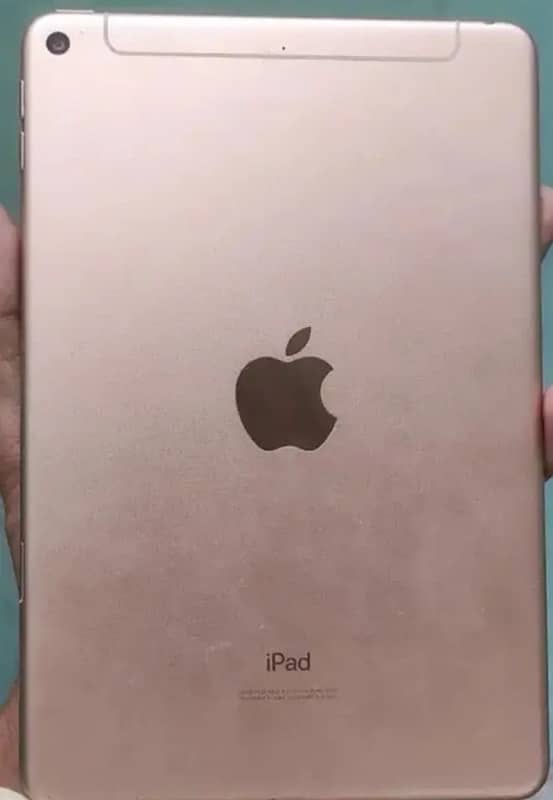 ipad mini 5 0