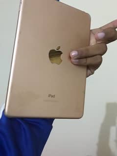 iPad mini 5 total orignl