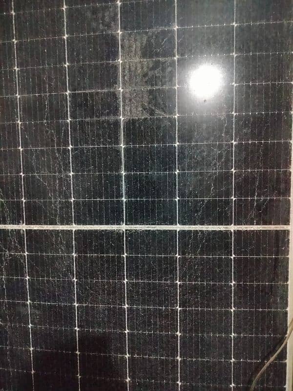 two longi solar panels 545w (hame jaldi bechna he) 3