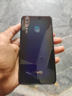 Vivo