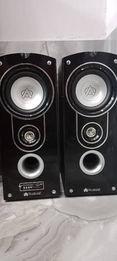 Audionic Speakers