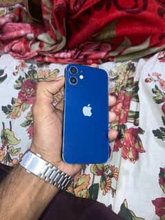 Iphone 12 mini