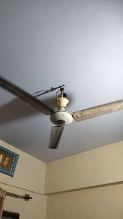 fan