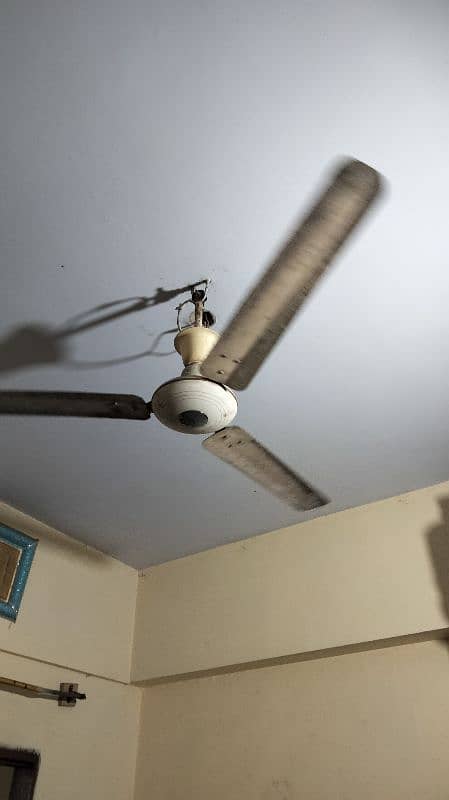 fan fo sell 1