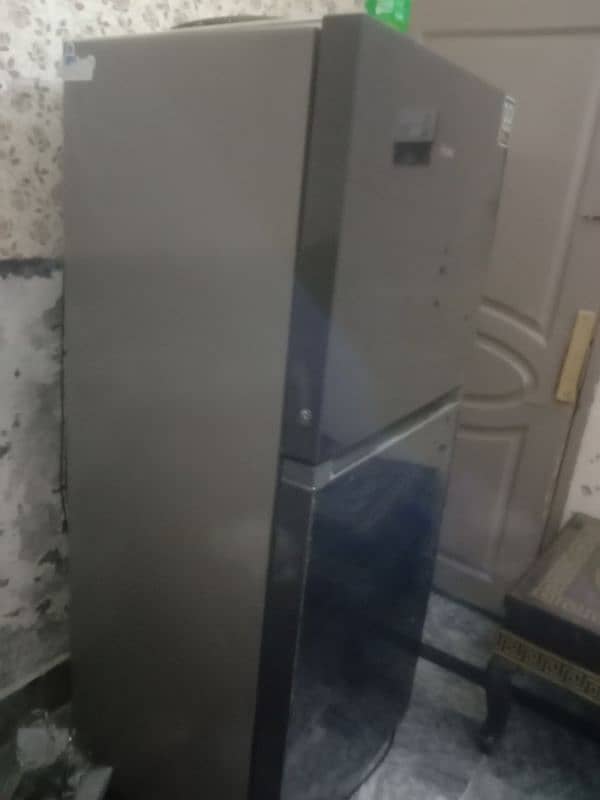 Haier full size glass door 1