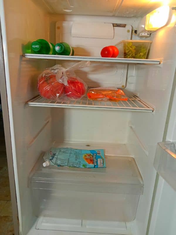 PEL refrigerator 1