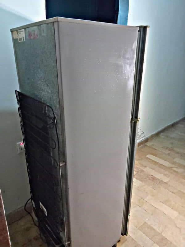 PEL refrigerator 3