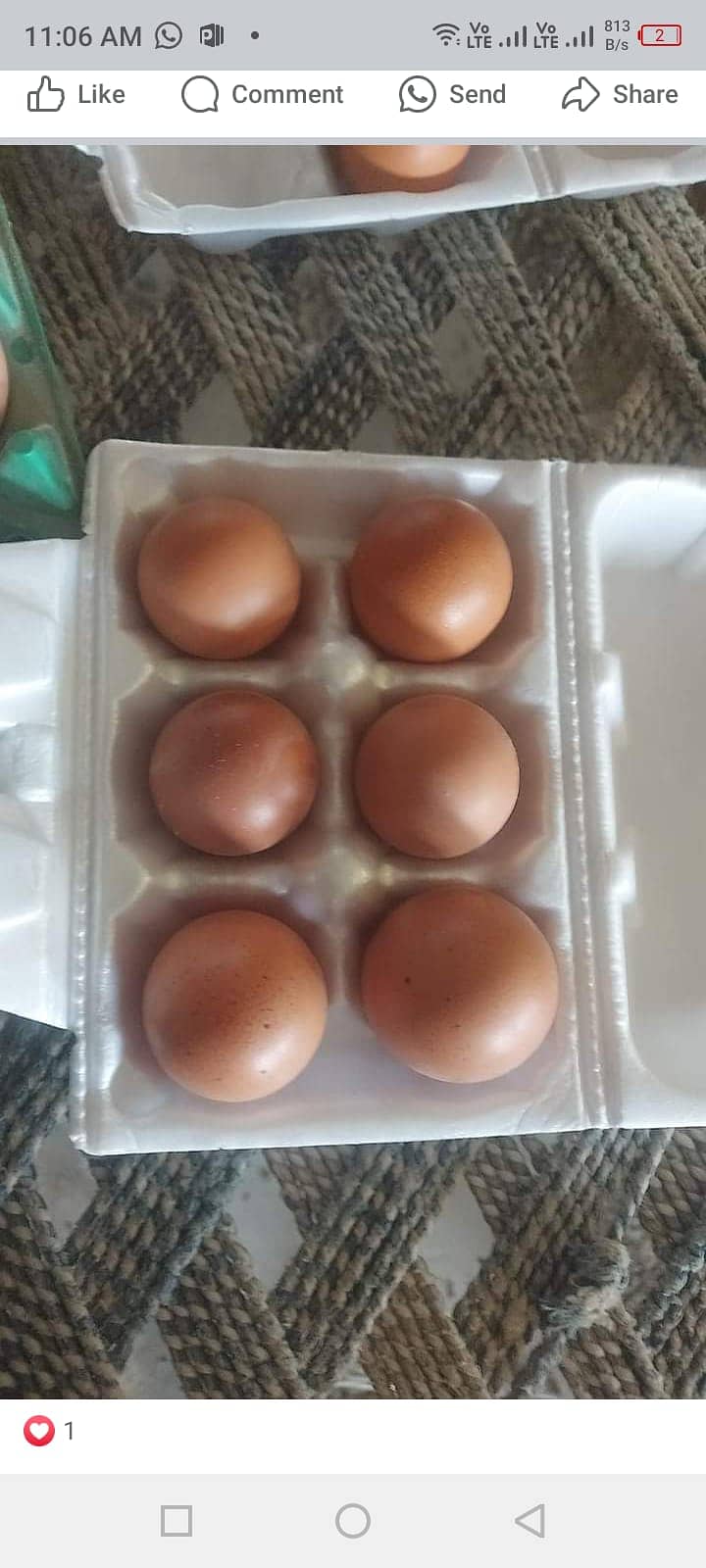 Pure desi eggsII white egg 8