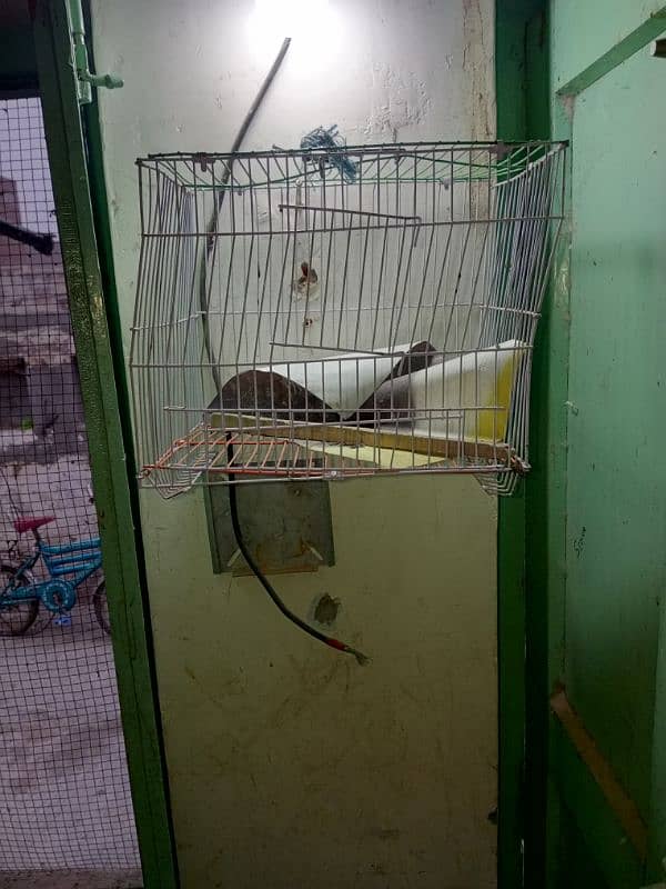 iran cage for sale 5