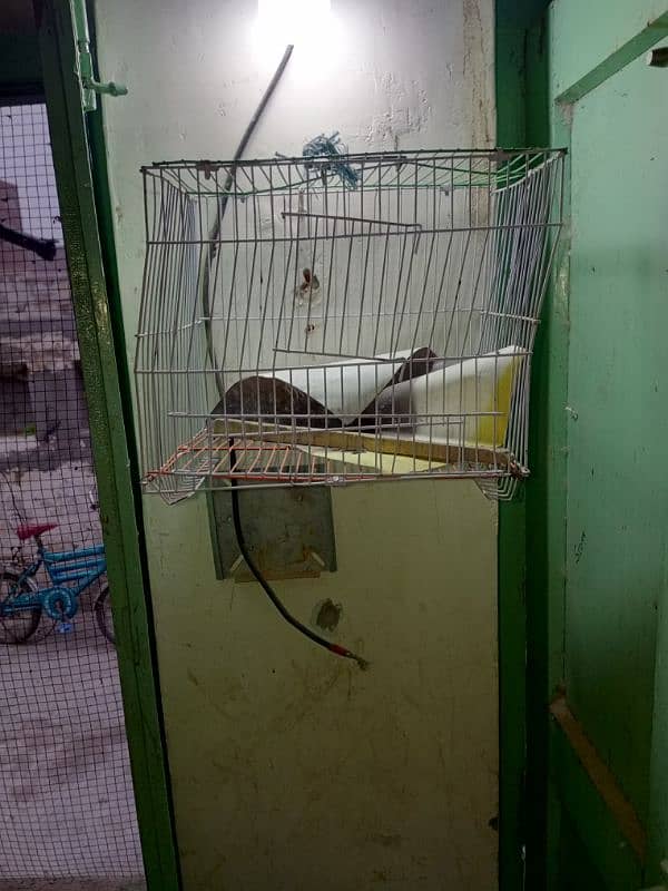 iran cage for sale 6