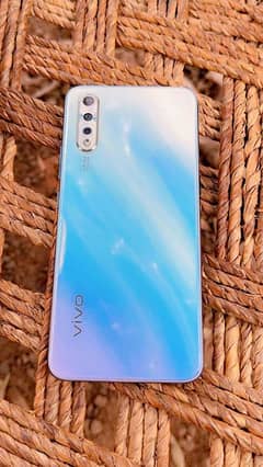 vivo