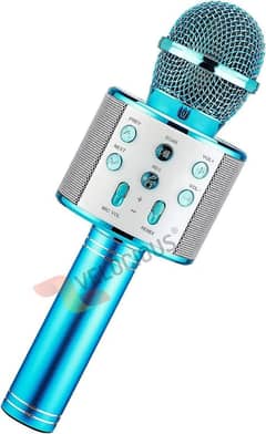 WS 858 electronic mic