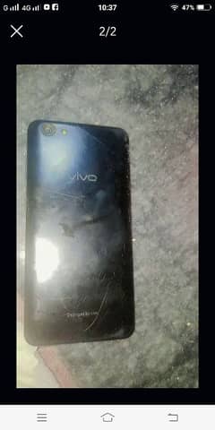 vivo