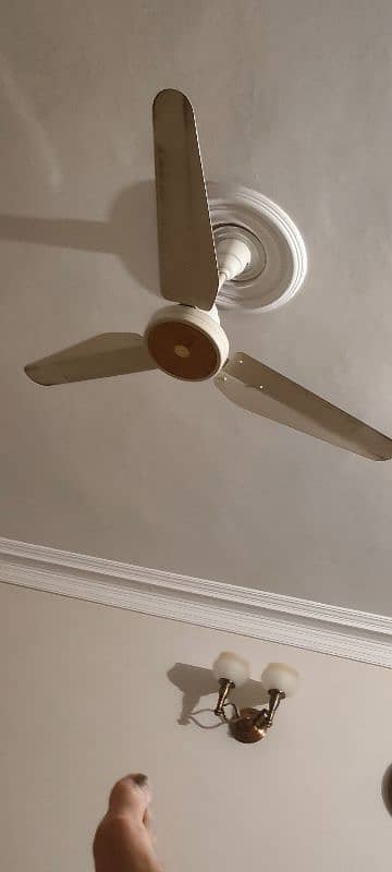 condition very very good home used good condition fan 0