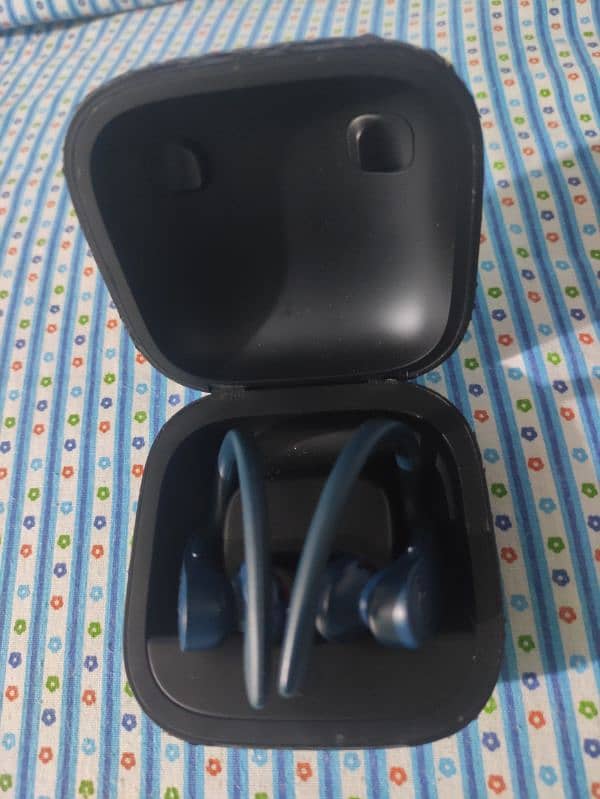 Powerbeats Pro earbuds 0