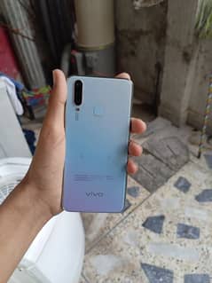 vivo