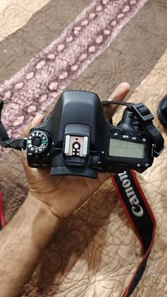 DSLR Canon 80d camera