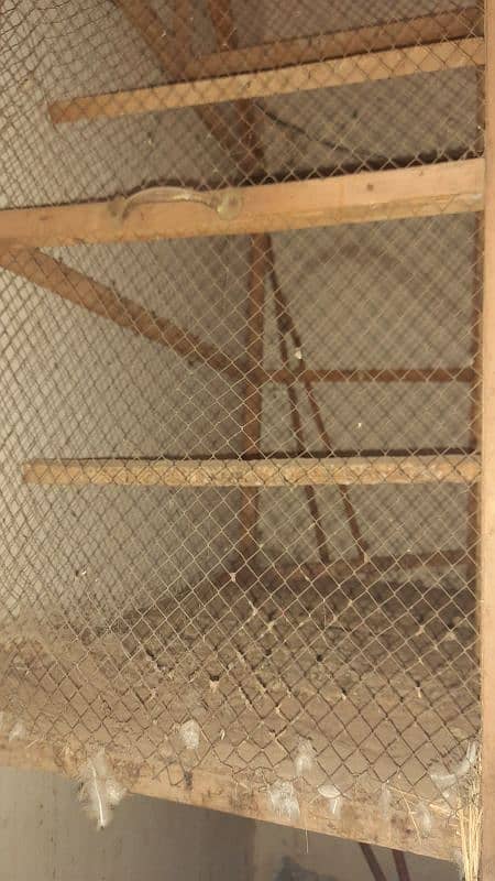 wooden cage 1