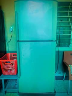 Haier medium size fridge