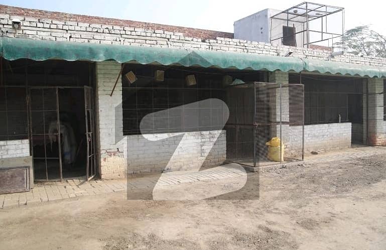 A 32 Kanal Farm House Located In Wagha Town Is Available For sale 6