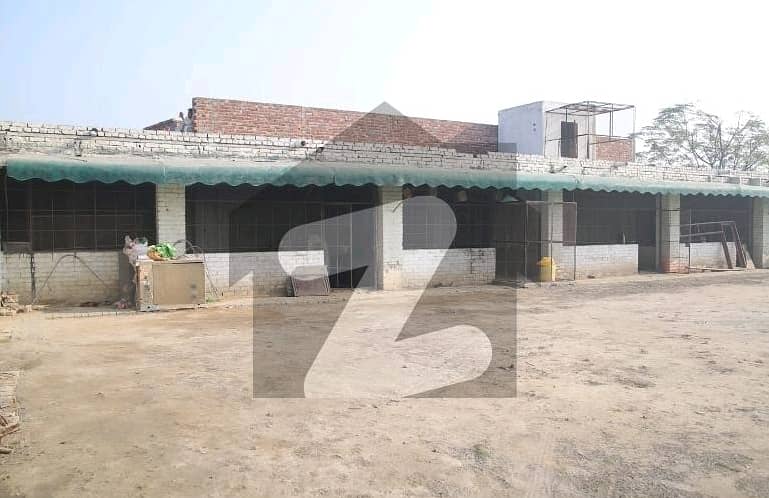 A 32 Kanal Farm House Located In Wagha Town Is Available For sale 11