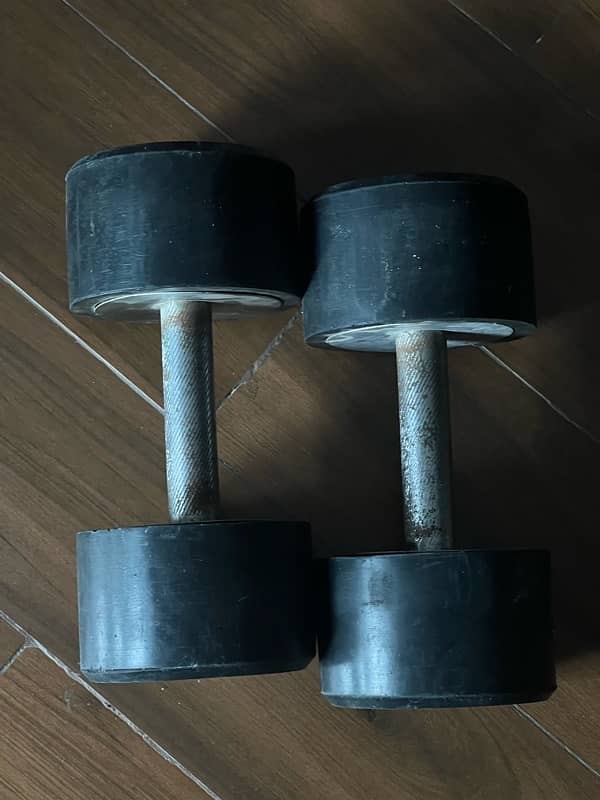 10kg dumbbells set 0