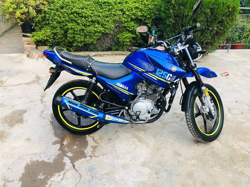 yamaha YBR G blu Beauty 1