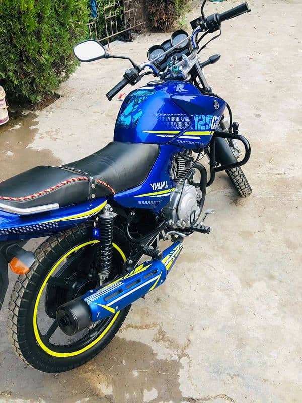 yamaha YBR G blu Beauty 5