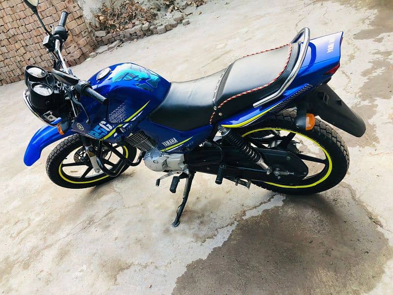 yamaha YBR G blu Beauty 9