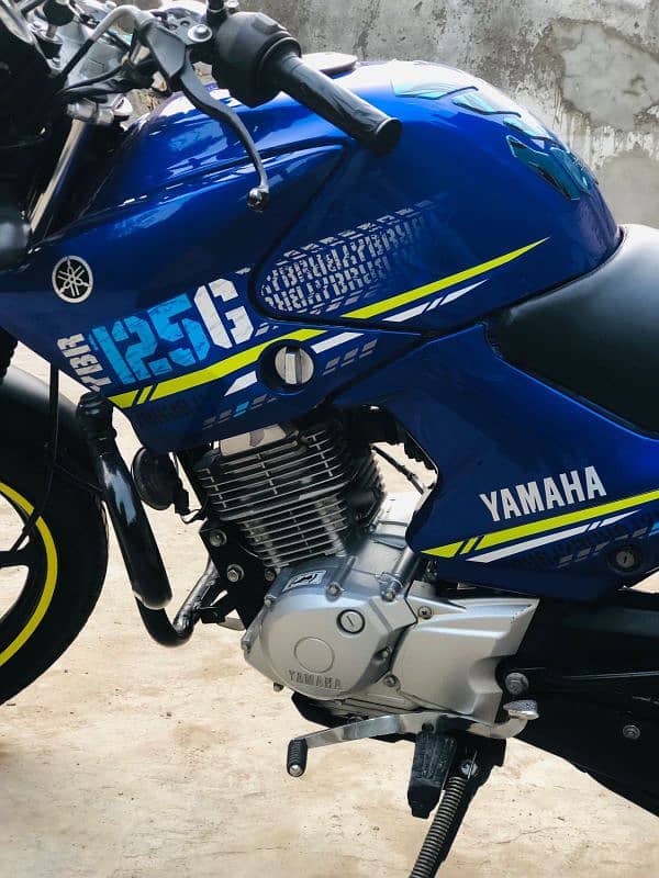 yamaha YBR G blu Beauty 12