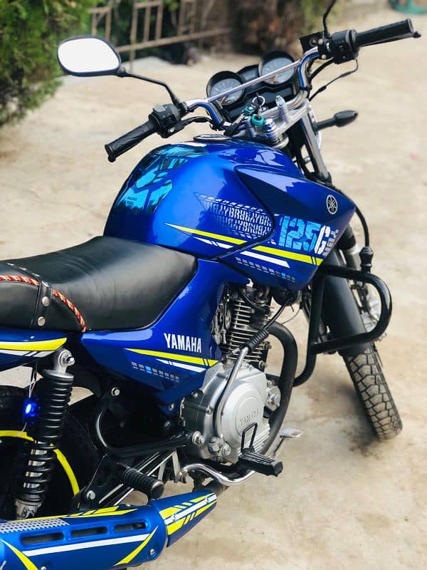 yamaha YBR G blu Beauty 15