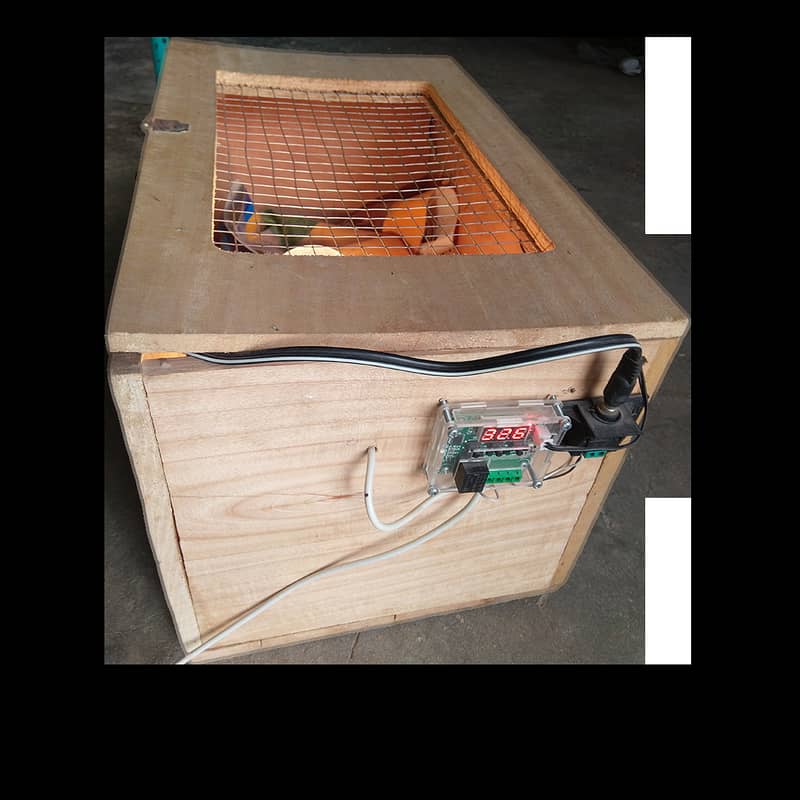 Birds Heat Bulb And Brooder 1