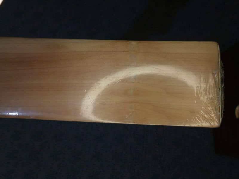 hard ball bat 1